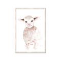 Picture of Baby Sheep Front _GroupedProduct_Rectangle_Portrait_Mini_ _GroupedProduct_Rectangle_Portrait_Framed_Matted_