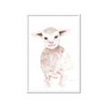 Picture of Baby Sheep Front _GroupedProduct_Rectangle_Portrait_Mini_ _GroupedProduct_Rectangle_Portrait_Framed_Matted_