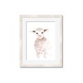 Picture of Baby Sheep Front _GroupedProduct_Rectangle_Portrait_Mini_ _GroupedProduct_Rectangle_Portrait_Framed_Matted_