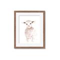 Picture of Baby Sheep Front _GroupedProduct_Rectangle_Portrait_Mini_ _GroupedProduct_Rectangle_Portrait_Framed_Matted_