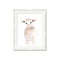 Picture of Baby Sheep Front _GroupedProduct_Rectangle_Portrait_Mini_ _GroupedProduct_Rectangle_Portrait_Framed_Matted_