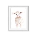 Picture of Baby Sheep Front _GroupedProduct_Rectangle_Portrait_Mini_ _GroupedProduct_Rectangle_Portrait_Framed_Matted_