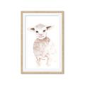 Picture of Baby Sheep Front _GroupedProduct_Rectangle_Portrait_Mini_ _GroupedProduct_Rectangle_Portrait_Framed_Matted_