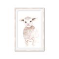 Picture of Baby Sheep Front _GroupedProduct_Rectangle_Portrait_Mini_ _GroupedProduct_Rectangle_Portrait_Framed_Matted_