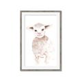 Picture of Baby Sheep Front _GroupedProduct_Rectangle_Portrait_Mini_ _GroupedProduct_Rectangle_Portrait_Framed_Matted_