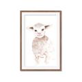 Picture of Baby Sheep Front _GroupedProduct_Rectangle_Portrait_Mini_ _GroupedProduct_Rectangle_Portrait_Framed_Matted_