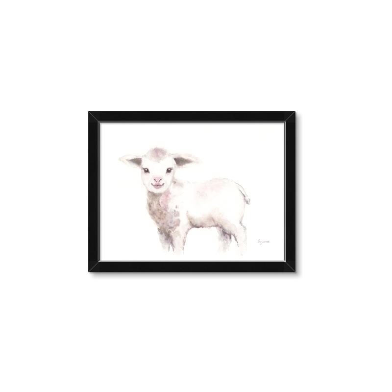 Picture of Baby Sheep Side  _GroupedProduct_Rectangle_Landscape_Mini_ _GroupedProduct_Rectangle_Landscape_Framed_Matted_