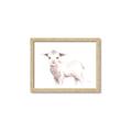 Picture of Baby Sheep Side  _GroupedProduct_Rectangle_Landscape_Mini_ _GroupedProduct_Rectangle_Landscape_Framed_Matted_