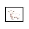 Picture of Baby Sheep Side  _GroupedProduct_Rectangle_Landscape_Mini_ _GroupedProduct_Rectangle_Landscape_Framed_Matted_