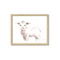 Picture of Baby Sheep Side  _GroupedProduct_Rectangle_Landscape_Mini_ _GroupedProduct_Rectangle_Landscape_Framed_Matted_