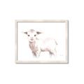 Picture of Baby Sheep Side  _GroupedProduct_Rectangle_Landscape_Mini_ _GroupedProduct_Rectangle_Landscape_Framed_Matted_