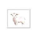 Picture of Baby Sheep Side  _GroupedProduct_Rectangle_Landscape_Mini_ _GroupedProduct_Rectangle_Landscape_Framed_Matted_