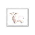 Picture of Baby Sheep Side  _GroupedProduct_Rectangle_Landscape_Mini_ _GroupedProduct_Rectangle_Landscape_Framed_Matted_