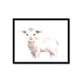 Picture of Baby Sheep Side  _GroupedProduct_Rectangle_Landscape_Mini_ _GroupedProduct_Rectangle_Landscape_Framed_Matted_