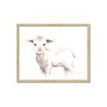 Picture of Baby Sheep Side  _GroupedProduct_Rectangle_Landscape_Mini_ _GroupedProduct_Rectangle_Landscape_Framed_Matted_