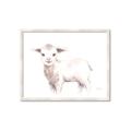 Picture of Baby Sheep Side  _GroupedProduct_Rectangle_Landscape_Mini_ _GroupedProduct_Rectangle_Landscape_Framed_Matted_