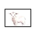Picture of Baby Sheep Side  _GroupedProduct_Rectangle_Landscape_Mini_ _GroupedProduct_Rectangle_Landscape_Framed_Matted_
