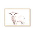 Picture of Baby Sheep Side  _GroupedProduct_Rectangle_Landscape_Mini_ _GroupedProduct_Rectangle_Landscape_Framed_Matted_