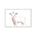 Picture of Baby Sheep Side  _GroupedProduct_Rectangle_Landscape_Mini_ _GroupedProduct_Rectangle_Landscape_Framed_Matted_
