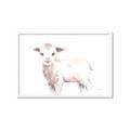 Picture of Baby Sheep Side  _GroupedProduct_Rectangle_Landscape_Mini_ _GroupedProduct_Rectangle_Landscape_Framed_Matted_