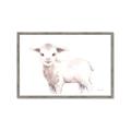 Picture of Baby Sheep Side  _GroupedProduct_Rectangle_Landscape_Mini_ _GroupedProduct_Rectangle_Landscape_Framed_Matted_