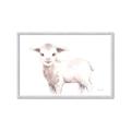 Picture of Baby Sheep Side  _GroupedProduct_Rectangle_Landscape_Mini_ _GroupedProduct_Rectangle_Landscape_Framed_Matted_