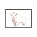 Picture of Baby Sheep Side  _GroupedProduct_Rectangle_Landscape_Mini_ _GroupedProduct_Rectangle_Landscape_Framed_Matted_