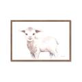 Picture of Baby Sheep Side  _GroupedProduct_Rectangle_Landscape_Mini_ _GroupedProduct_Rectangle_Landscape_Framed_Matted_