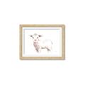 Picture of Baby Sheep Side  _GroupedProduct_Rectangle_Landscape_Mini_ _GroupedProduct_Rectangle_Landscape_Framed_Matted_