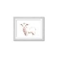 Picture of Baby Sheep Side  _GroupedProduct_Rectangle_Landscape_Mini_ _GroupedProduct_Rectangle_Landscape_Framed_Matted_
