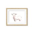 Picture of Baby Sheep Side  _GroupedProduct_Rectangle_Landscape_Mini_ _GroupedProduct_Rectangle_Landscape_Framed_Matted_