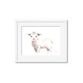 Picture of Baby Sheep Side  _GroupedProduct_Rectangle_Landscape_Mini_ _GroupedProduct_Rectangle_Landscape_Framed_Matted_