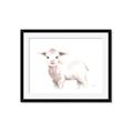 Picture of Baby Sheep Side  _GroupedProduct_Rectangle_Landscape_Mini_ _GroupedProduct_Rectangle_Landscape_Framed_Matted_