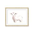Picture of Baby Sheep Side  _GroupedProduct_Rectangle_Landscape_Mini_ _GroupedProduct_Rectangle_Landscape_Framed_Matted_