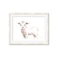 Picture of Baby Sheep Side  _GroupedProduct_Rectangle_Landscape_Mini_ _GroupedProduct_Rectangle_Landscape_Framed_Matted_