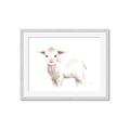 Picture of Baby Sheep Side  _GroupedProduct_Rectangle_Landscape_Mini_ _GroupedProduct_Rectangle_Landscape_Framed_Matted_