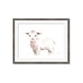 Picture of Baby Sheep Side  _GroupedProduct_Rectangle_Landscape_Mini_ _GroupedProduct_Rectangle_Landscape_Framed_Matted_