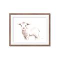 Picture of Baby Sheep Side  _GroupedProduct_Rectangle_Landscape_Mini_ _GroupedProduct_Rectangle_Landscape_Framed_Matted_