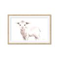 Picture of Baby Sheep Side  _GroupedProduct_Rectangle_Landscape_Mini_ _GroupedProduct_Rectangle_Landscape_Framed_Matted_