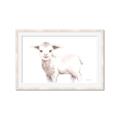 Picture of Baby Sheep Side  _GroupedProduct_Rectangle_Landscape_Mini_ _GroupedProduct_Rectangle_Landscape_Framed_Matted_