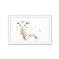 Picture of Baby Sheep Side  _GroupedProduct_Rectangle_Landscape_Mini_ _GroupedProduct_Rectangle_Landscape_Framed_Matted_
