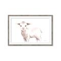 Picture of Baby Sheep Side  _GroupedProduct_Rectangle_Landscape_Mini_ _GroupedProduct_Rectangle_Landscape_Framed_Matted_