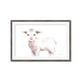 Picture of Baby Sheep Side  _GroupedProduct_Rectangle_Landscape_Mini_ _GroupedProduct_Rectangle_Landscape_Framed_Matted_