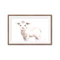 Picture of Baby Sheep Side  _GroupedProduct_Rectangle_Landscape_Mini_ _GroupedProduct_Rectangle_Landscape_Framed_Matted_