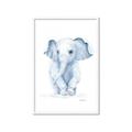 Picture of Baby Blue Elephant _GroupedProduct_Rectangle_Portrait_Mini_ _GroupedProduct_Rectangle_Portrait_Framed_Matted_