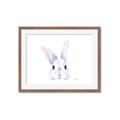 Picture of Peekaboo Bunny _GroupedProduct_Rectangle_Landscape_Mini_ _GroupedProduct_Rectangle_Landscape_Framed_Matted_