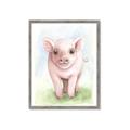 Picture of Farm Pig _GroupedProduct_Rectangle_Portrait_Mini_ _GroupedProduct_Rectangle_Portrait_Framed_Matted_
