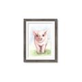 Picture of Farm Pig _GroupedProduct_Rectangle_Portrait_Mini_ _GroupedProduct_Rectangle_Portrait_Framed_Matted_