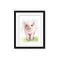 Picture of Farm Pig _GroupedProduct_Rectangle_Portrait_Mini_ _GroupedProduct_Rectangle_Portrait_Framed_Matted_
