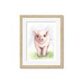Picture of Farm Pig _GroupedProduct_Rectangle_Portrait_Mini_ _GroupedProduct_Rectangle_Portrait_Framed_Matted_